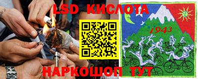 индика Камышлов