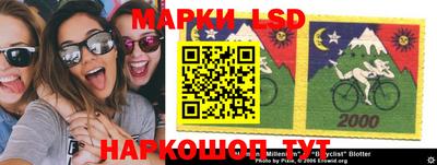 индика Камышлов