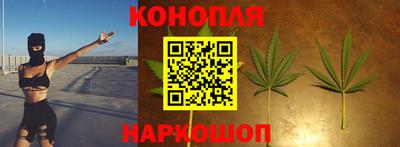 индика Камышлов