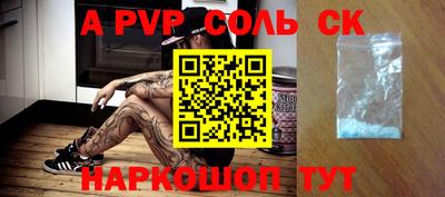 индика Камышлов