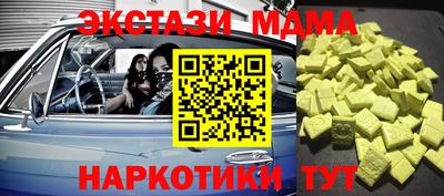 индика Камышлов