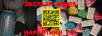 индика Камышлов
