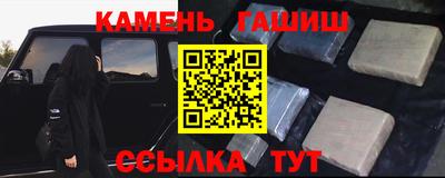 индика Камышлов