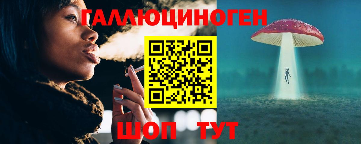 ГАШ Калуга